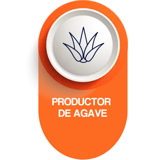 Productor de agave